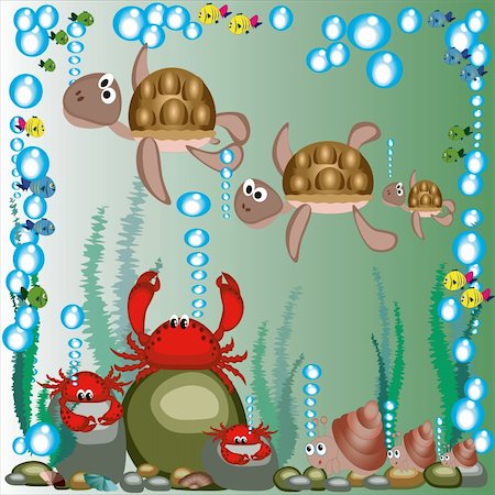 simsearch:400-04052109,k - Marine life sea animals under the water. Stock Photo - Budget Royalty-Free & Subscription, Code: 400-04207477