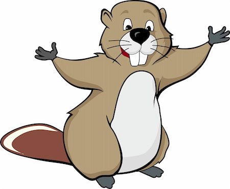 draw of funny beaver (vector) Stock Photo - Budget Royalty-Free & Subscription, Code: 400-04208429