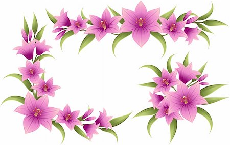 The pink lilium decorative elements and border - line, round and corner Stock Photo - Budget Royalty-Free & Subscription, Code: 400-04201372