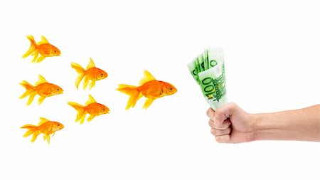 simsearch:400-04011910,k - Goldfish with money on a white background Stock Photo - Budget Royalty-Free & Subscription, Code: 400-04201612