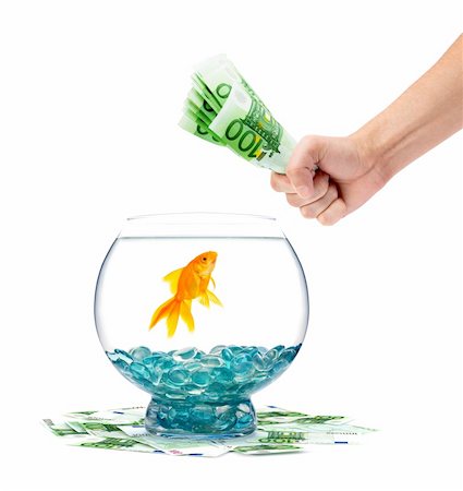 simsearch:400-04011910,k - Goldfish in aquarium on a white background Stock Photo - Budget Royalty-Free & Subscription, Code: 400-04201613
