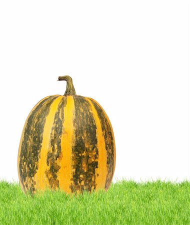simsearch:400-04211564,k - Yellow pumpkin isolated  on a white background Photographie de stock - Aubaine LD & Abonnement, Code: 400-04202843