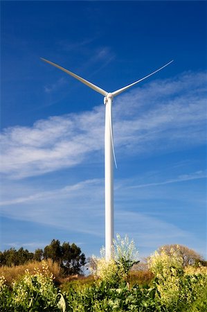 simsearch:400-05319608,k - Wind turbine on a beautiful green meadow, energy concept Stock Photo - Budget Royalty-Free & Subscription, Code: 400-04215825