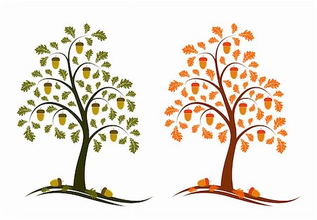 vector two versions of oak tree on white background, Adobe Illustrator 8 format Stock Photo - Budget Royalty-Free & Subscription, Code: 400-04217032
