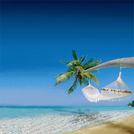 Tropical Holiday Destination Stock Photo - Budget Royalty-Free & Subscription, Code: 400-04219975