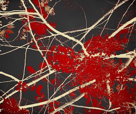 Tangled red blossom branches on black background Foto de stock - Super Valor sin royalties y Suscripción, Código: 400-04211225