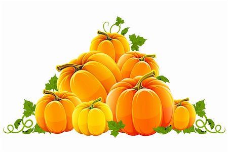 pumpkin drawing - hill harvest of orange ripe pumpkins vector illustration, isolated on white background Stock Photo - Budget Royalty-Free & Subscription, Code: 400-04211564