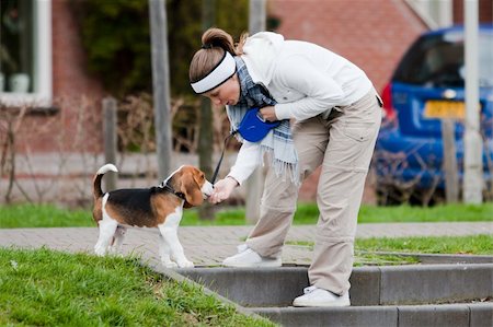 dog leash girl - Girl playing with young dog. Beagle puppy Stock Photo - Budget Royalty-Free & Subscription, Code: 400-04211881