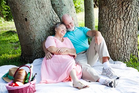 simsearch:400-04208630,k - Senior couple relaxing on a picnic in the park. Stock Photo - Budget Royalty-Free & Subscription, Code: 400-04212488