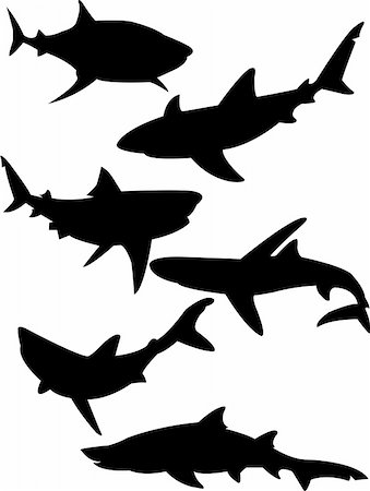 simsearch:400-05123541,k - sharks silhouette collection vector Stock Photo - Budget Royalty-Free & Subscription, Code: 400-04224320