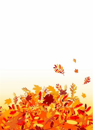Autumn leaves background for your design Stock Photo - Budget Royalty-Free & Subscription, Code: 400-04224747