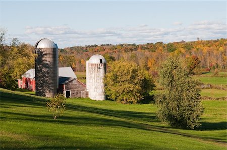 Autumn colors on the farm, Shelburne, Vermont Stock Photo - Budget Royalty-Free & Subscription, Code: 400-04225042