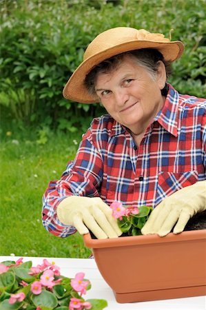 Senior woman - gardening Stock Photo - Budget Royalty-Free & Subscription, Code: 400-04229347
