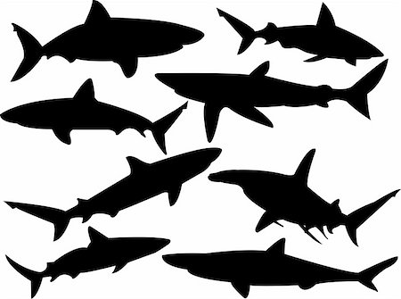 simsearch:400-05123541,k - sharks silhouette collection - vector Stock Photo - Budget Royalty-Free & Subscription, Code: 400-04223313