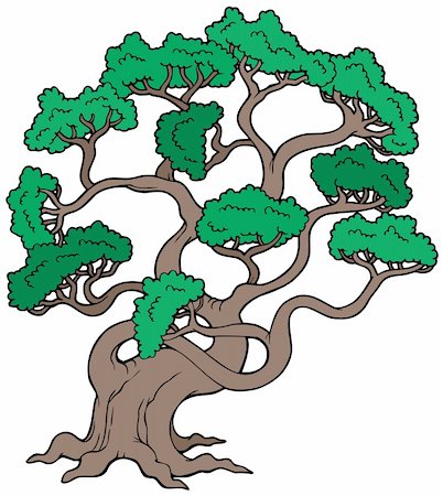 simsearch:400-05885713,k - Big pine tree - vector illustration. Stock Photo - Budget Royalty-Free & Subscription, Code: 400-04235688