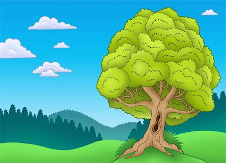 simsearch:400-05885713,k - Big leafy tree in landscape - color illustration. Stock Photo - Budget Royalty-Free & Subscription, Code: 400-04236129