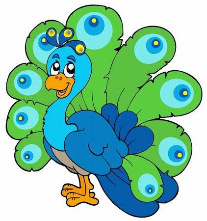 Cartoon peacock on white background - vector illustration. Stock Photo - Budget Royalty-Free & Subscription, Code: 400-04236234