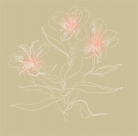 simsearch:400-04776674,k - Alstrameriya flower brush drawing on beige background Stock Photo - Budget Royalty-Free & Subscription, Code: 400-04238527