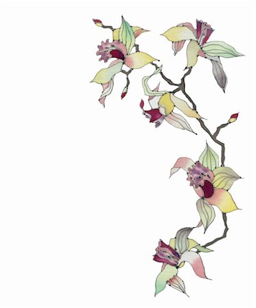 artwork with a orchid branch isolated on white background Stock Photo - Budget Royalty-Free & Subscription, Code: 400-04238557
