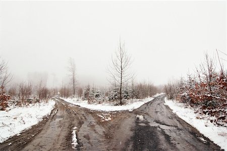 fork road - Shot of the forest roads - branching roads - and misty day Stock Photo - Budget Royalty-Free & Subscription, Code: 400-04232151