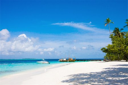 simsearch:400-03991814,k - Maldives beach scene Stock Photo - Budget Royalty-Free & Subscription, Code: 400-04243062