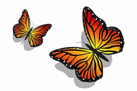 simsearch:400-04259527,k - illustration of pair of butterfly on isolated background Stock Photo - Budget Royalty-Free & Subscription, Code: 400-04255700