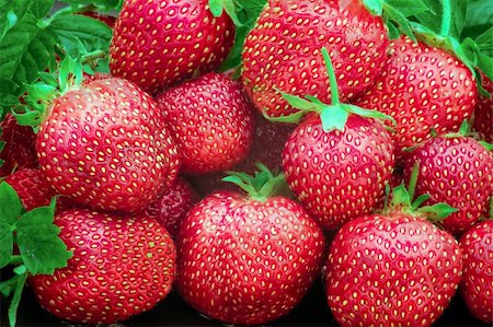 simsearch:400-05370991,k - Heap of a lot of fresh red strawberries Stock Photo - Budget Royalty-Free & Subscription, Code: 400-04255929