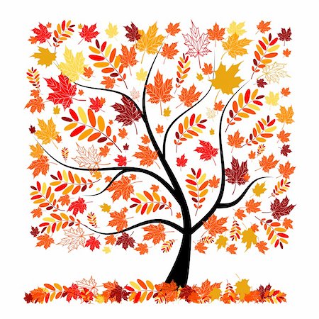 Beautiful autumn tree for your design Stock Photo - Budget Royalty-Free & Subscription, Code: 400-04256426