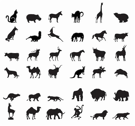 simsearch:400-04280168,k - A vector illustration animals silhouettes. Stock Photo - Budget Royalty-Free & Subscription, Code: 400-04256542