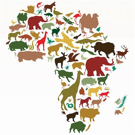 vector illustration for the animals of africa Stock Photo - Budget Royalty-Free & Subscription, Code: 400-04258303