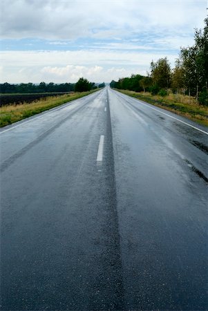 steppe - empty wet asphalt road. Landscape Stock Photo - Budget Royalty-Free & Subscription, Code: 400-04259382