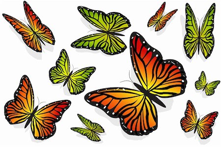 simsearch:400-04259527,k - illustration of collection of butterflies on isolated background Stock Photo - Budget Royalty-Free & Subscription, Code: 400-04259539