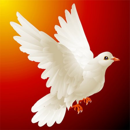 dove emblem - Vector white dove Stock Photo - Budget Royalty-Free & Subscription, Code: 400-04266114