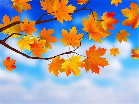 simsearch:400-05256623,k - Beautiful Autumn Background against clue sky. EPS 8 vector file included Photographie de stock - Aubaine LD & Abonnement, Code: 400-04260978