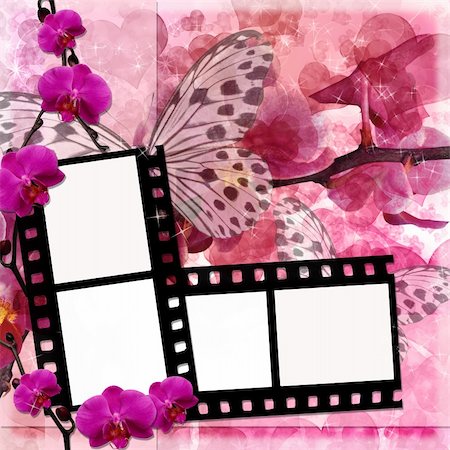 dragonfly abstract designs - Butterflies and orchids flowers  pink background  with film frame ( 1 of set) Stock Photo - Budget Royalty-Free & Subscription, Code: 400-04274188