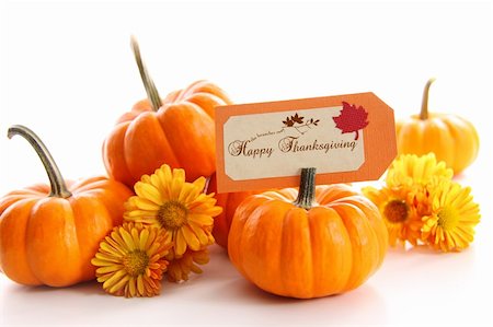 Small pumpkins with chrysanthemums and table card Stock Photo - Budget Royalty-Free & Subscription, Code: 400-04275432