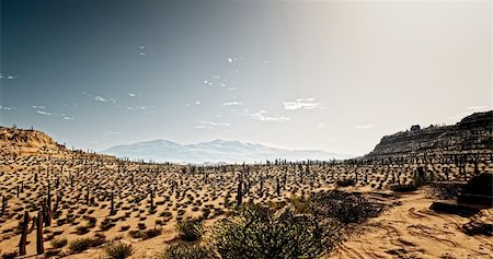 An image of the Arizona desert with cacti Foto de stock - Super Valor sin royalties y Suscripción, Código: 400-04276567