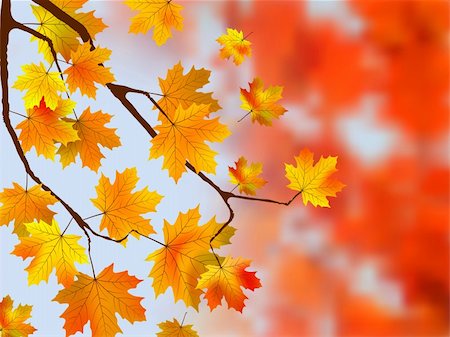 seasonal change - Autumn, sunny maple leaves, autumnal ornament. EPS 8 vector file included Stock Photo - Budget Royalty-Free & Subscription, Code: 400-04276774