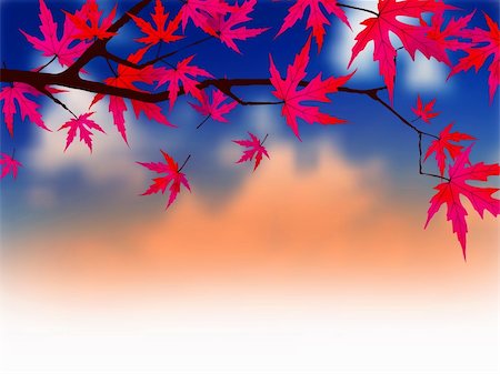 simsearch:400-05256623,k - Autumnal leaves of maple. EPS 8 vector file included Photographie de stock - Aubaine LD & Abonnement, Code: 400-04276775
