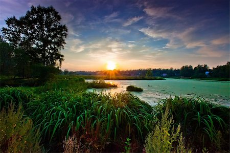 Panorama of river and forest in a sunny autumn day Stock Photo - Budget Royalty-Free & Subscription, Code: 400-04277236