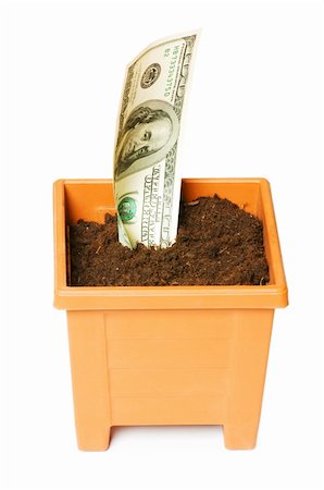 simsearch:400-08891312,k - Dollars growing in the pot isolated on the white Stock Photo - Budget Royalty-Free & Subscription, Code: 400-04277560