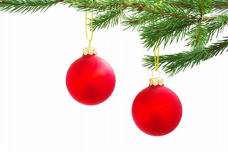 spruce branches - Christmas decoration isolated on the white background Stock Photo - Budget Royalty-Free & Subscription, Code: 400-04278429