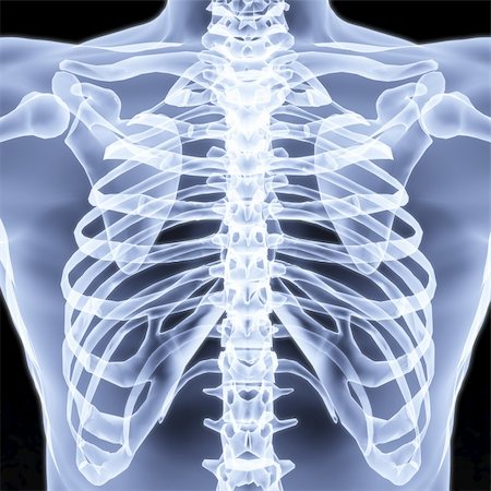 Men's chest X-rays under. 3d image. Stock Photo - Budget Royalty-Free & Subscription, Code: 400-04272885