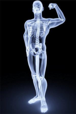 human body by X-rays. 3d render Stock Photo - Budget Royalty-Free & Subscription, Code: 400-04272926