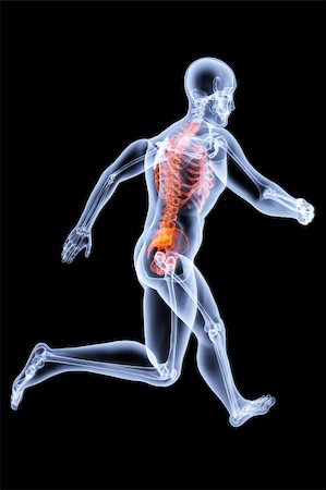 Running Man by X-rays. bone torso are highlighted in red. Stock Photo - Budget Royalty-Free & Subscription, Code: 400-04272953