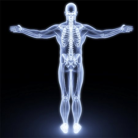 human body by X-rays. 3d render Stock Photo - Budget Royalty-Free & Subscription, Code: 400-04272967