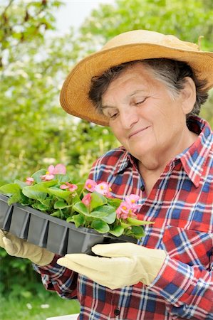 Senior woman - gardening Stock Photo - Budget Royalty-Free & Subscription, Code: 400-04273264