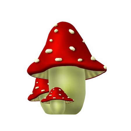 Flora - mushroom Stock Photo - Budget Royalty-Free & Subscription, Code: 400-04284731