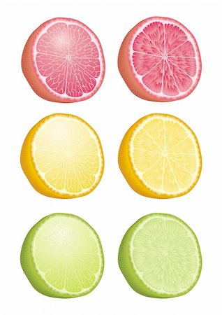 simsearch:400-04716078,k - Citrus fruits vector Stock Photo - Budget Royalty-Free & Subscription, Code: 400-04285644