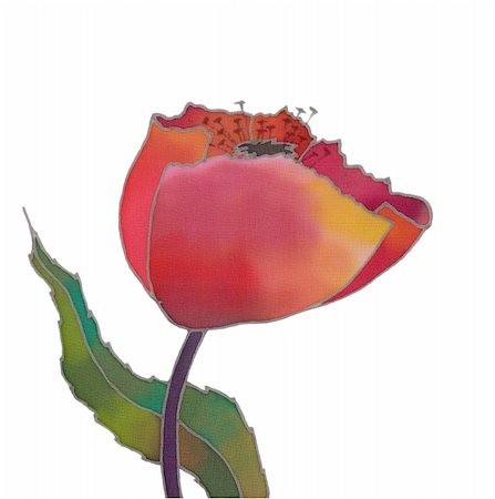 simsearch:400-04776674,k - batik red tulip isolated over white background Stock Photo - Budget Royalty-Free & Subscription, Code: 400-04285738